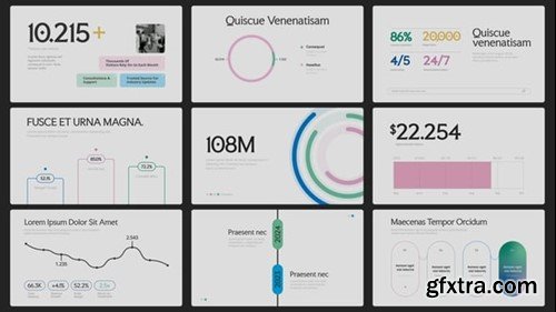 Videohive Sleek Infographics 55610911