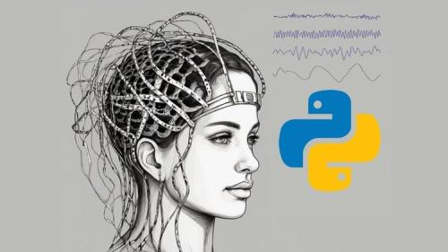 Udemy - Signal processing (Python) for Neuroscience Practical course