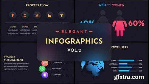 Videohive Elegant Infographics Vol.2 55459884