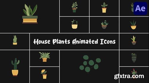 Videohive House Plants Animated Icons for After Effects 55708228