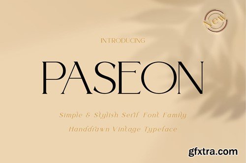 Paseon Simple & stylish serif font family U7Y83SM