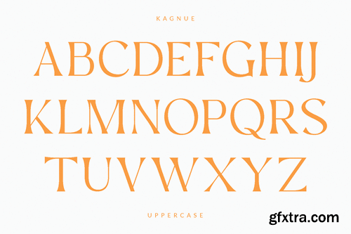 Kagnue - Modern Classy Serif Font BDDR772