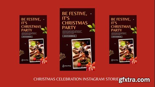 Videohive Christmas Celebration Instagram Stories 55785608