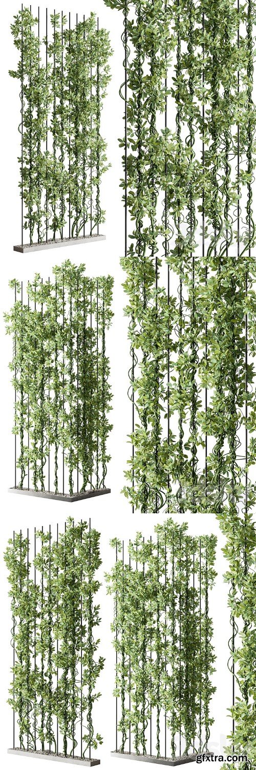 Vertical Garden Partiton - Set 111