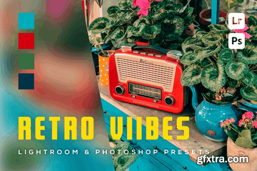 6 Retro Vibes Lightroom and Photoshop Presets BHRVLA6