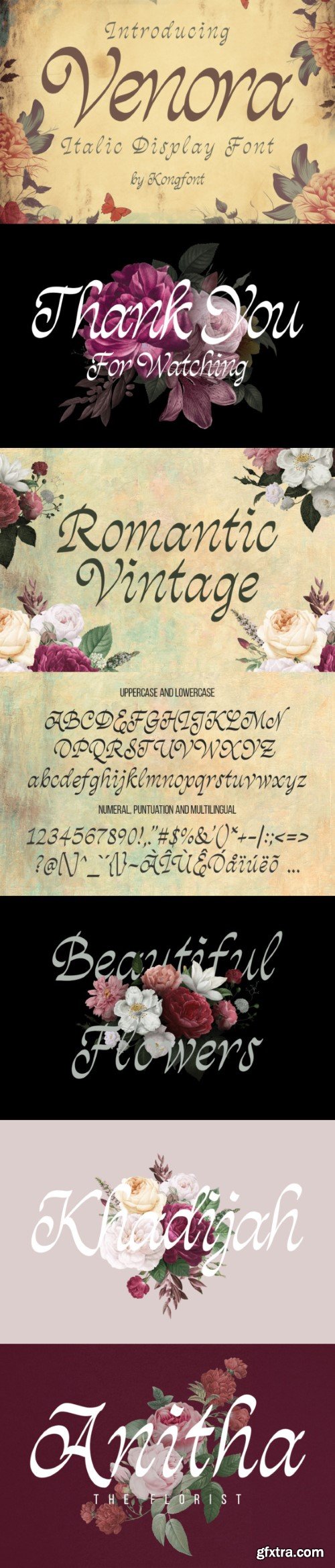 Venora Font