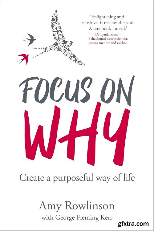 Focus on Why : Create a purposeful way of life