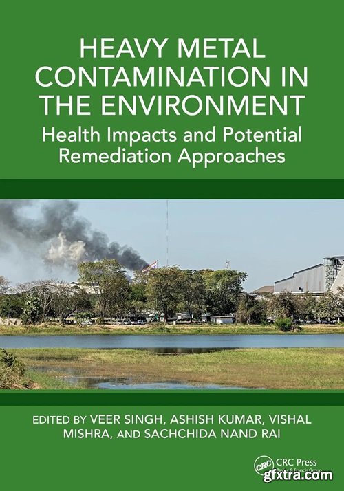 Heavy Metal Contamination in the Environment: Health Impacts and Potential Remediation Approaches