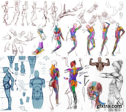 CGMA - Analytical Figure Drawing with Ron Lemen