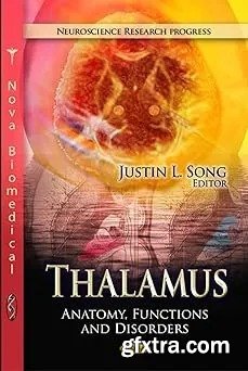 Thalamus: Anatomy, Functions and Disorders