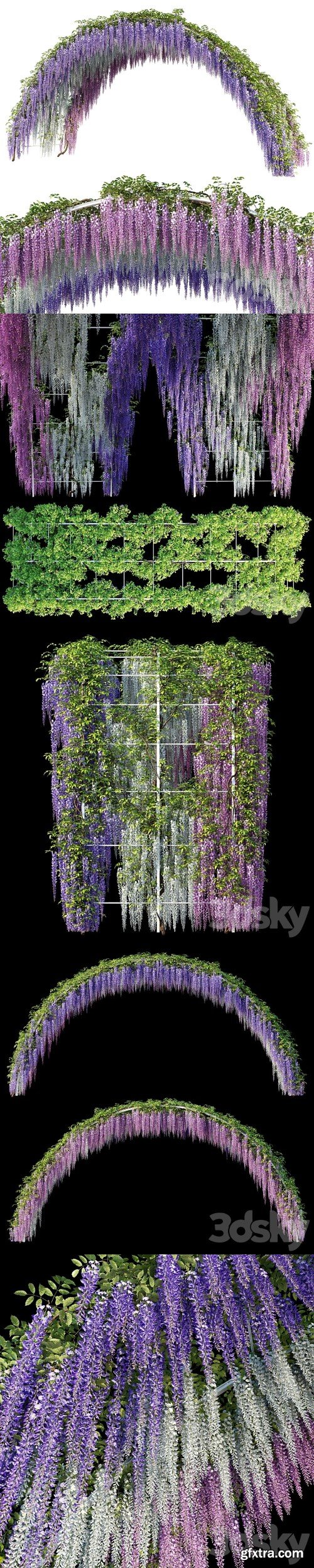 Arch with Wisteria