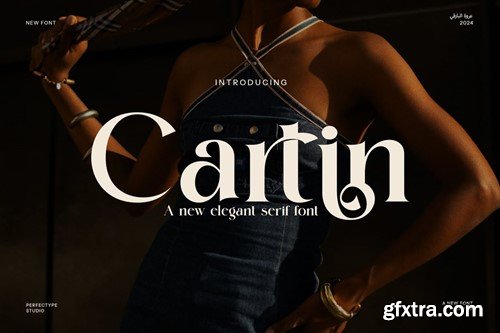 Cartin Elegant Serif Font KYE7UW4