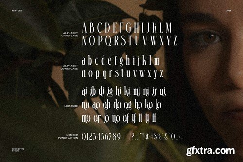 Glimik Elegant Serif Font YB6Y9KU