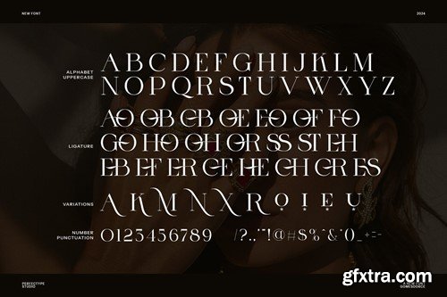 Gomes Dorce Elegant Serif Font ZTVQH7B