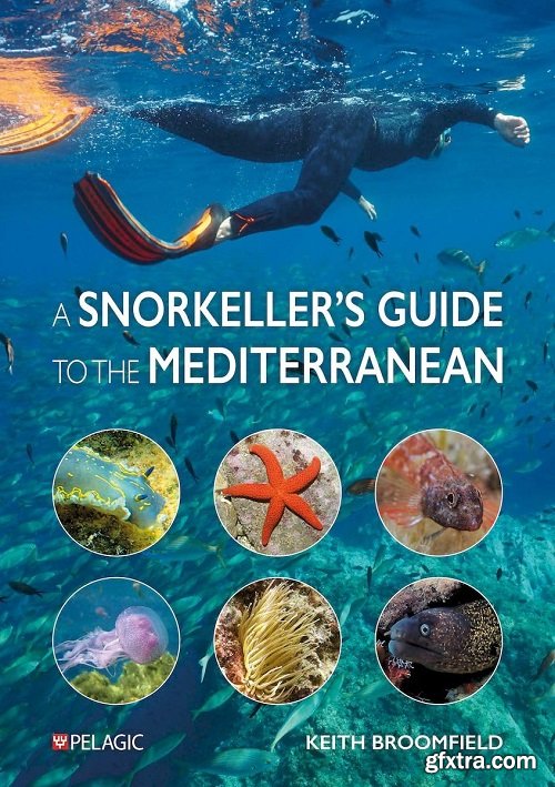 A Snorkeller’s Guide to the Mediterranean: A photographic ID guide to the most commonly encountered marine species