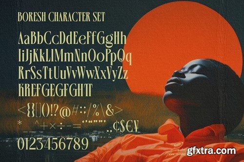 Boresh - Condensed serif font WWTR7H8