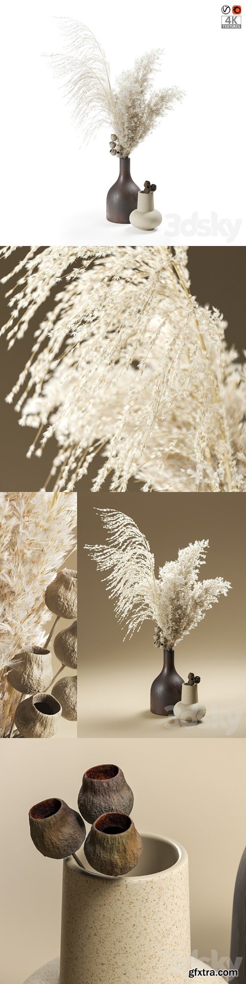 Bouquet of pampas grass