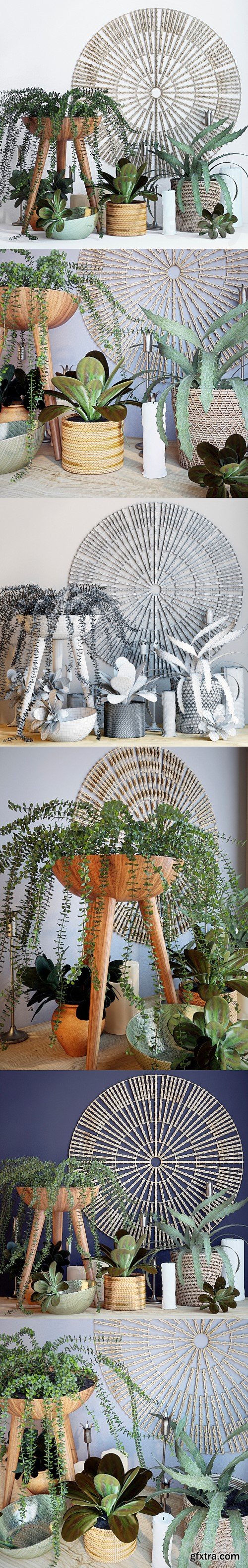 Plant decor set - 1