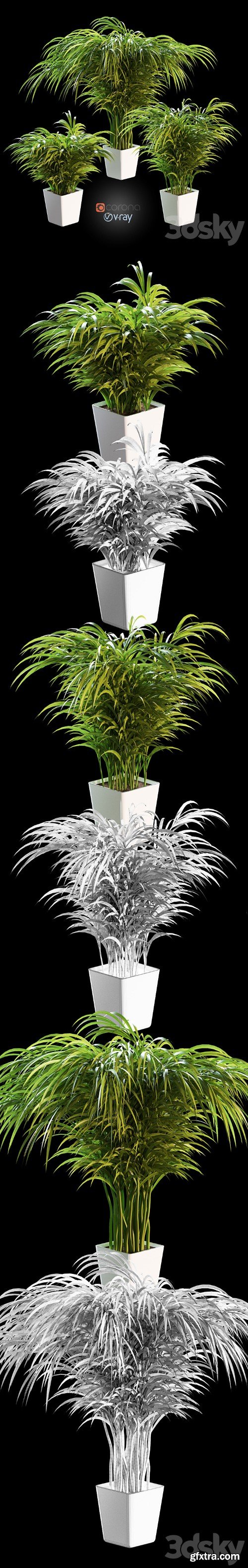 Palm tree in a pot. 3 models