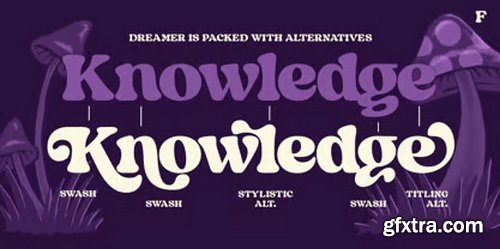 Myfonts - Dreamer Font