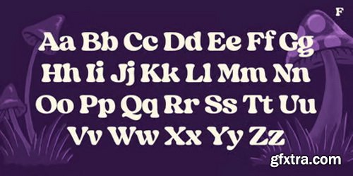 Myfonts - Dreamer Font