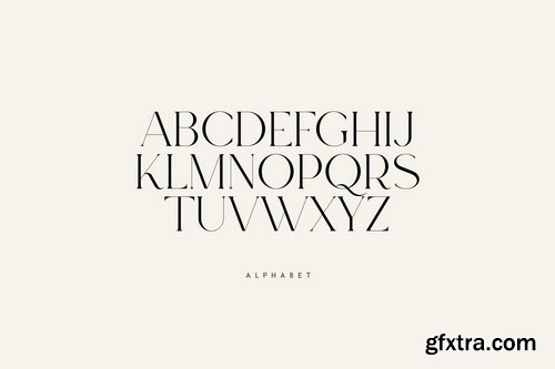 Myfonts - Sun Type Font Family