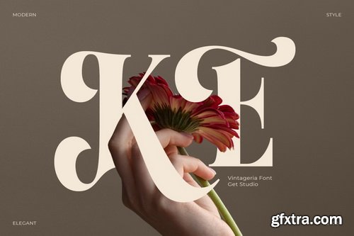 Myfonts - Vintageria Elegance Font