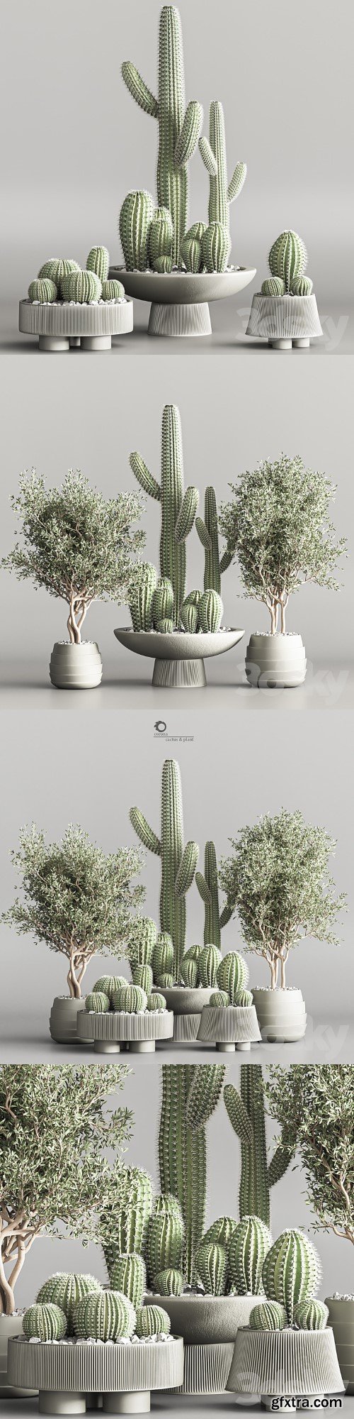 Cactus & plant vol 01