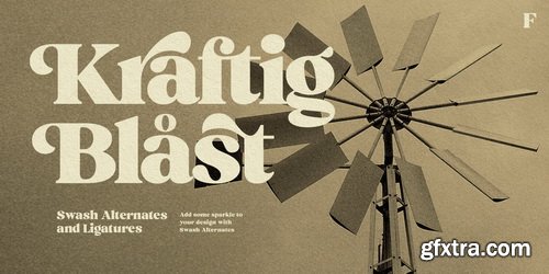 Myfonts - Ashford Font Family