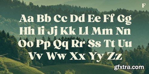 Myfonts - Ashford Font Family