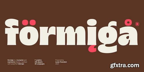 Myfonts - Formiga Font Family