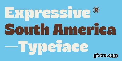 Myfonts - Formiga Font Family