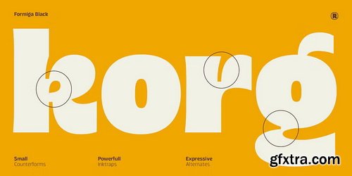 Myfonts - Formiga Font Family