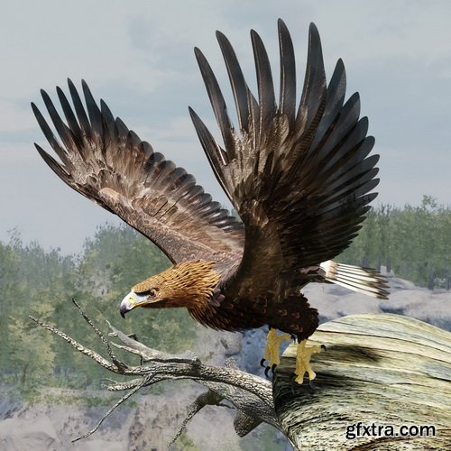 CgTrader - Golden Eagle - BLENDER 3D model