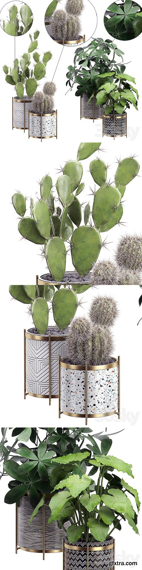 INTERIOR FLOWER PACK 19 - CACTUS. Part 3