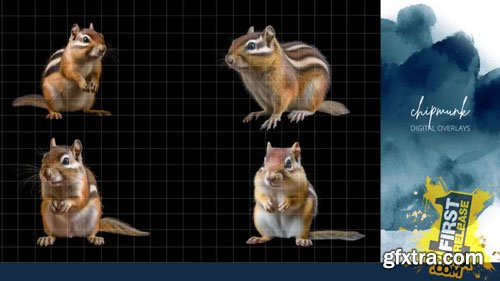 Finding North Education - Chipmunk Digital Overlays