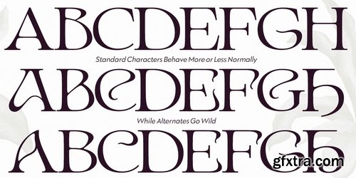 Myfonts - Ark Font