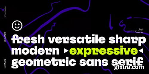 Myfonts - SFT Schrifted Sans Font Family