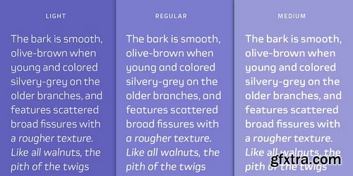 Myfonts - Nogal Font Family