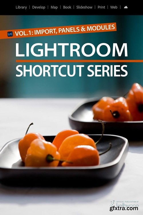 Lightroom Shortcut Series Vol. 1: Import, Panels & Modules