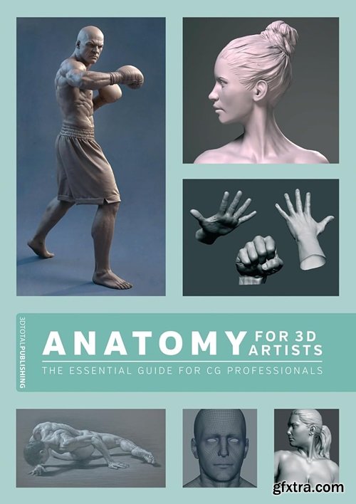 Anatomy for 3D Artists: The Essential Guide for CG Professionals