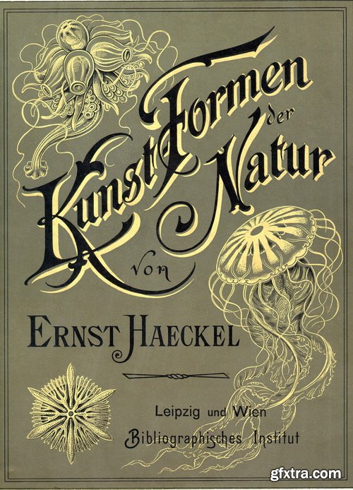 Art Forms of Nature - German Zoologist Ernst Haeckel