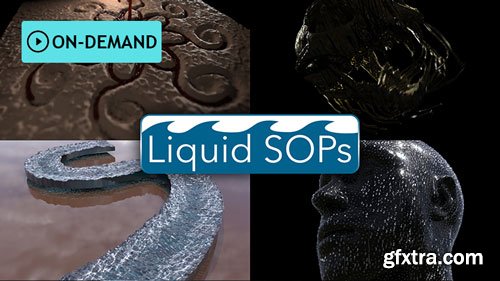 Houdini School HS-224: Liquid SOPs