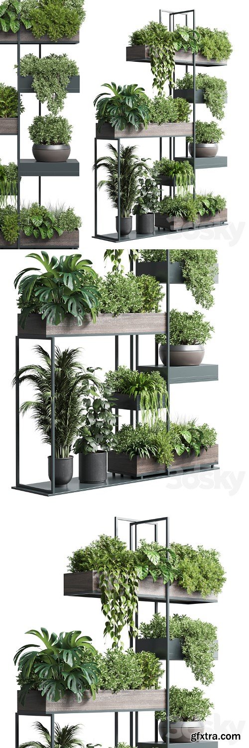 Standing metal shelf with a set of plants in wooden and metal boxes 267