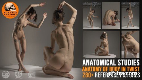 Artstation - 280+ Anatomy of Body in Twist - Grafit Studio