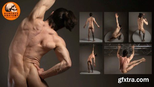 Artstation - 360+ Athletic Male Anatomy: Back, Shoulders and Arms in Motion - Grafit Studio