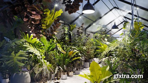 Globe Plants 1 to 65 3D Model Bundle Collections