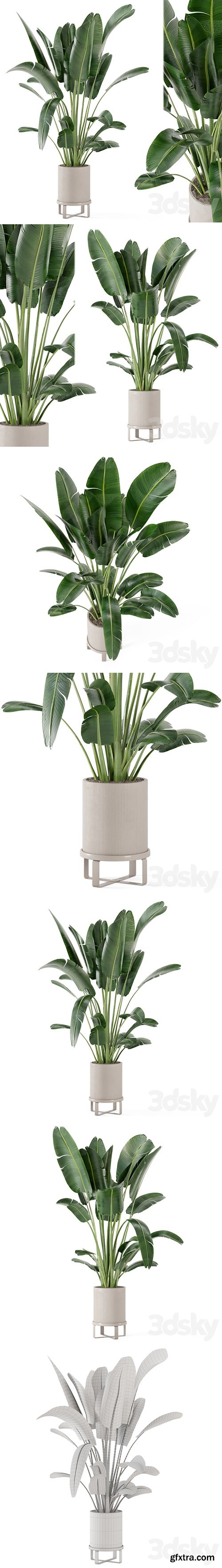 Indoor Plants in Ferm Living Bau Pot Large - Set 173