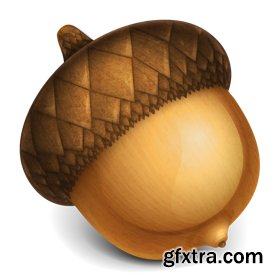 Acorn 8.0.1