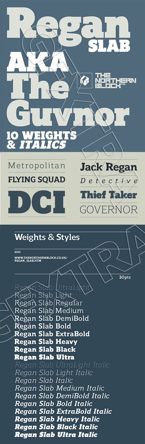 Regan Slab Font Family, 20 TTF